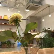 EKmama  即購入OKの画像