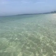 ちゃちゃちゃ