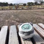 まるの画像