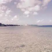 名無し