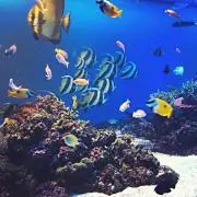 れのママ
