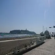 kannの画像