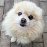 ちかの画像