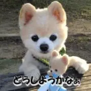 Tama's shop