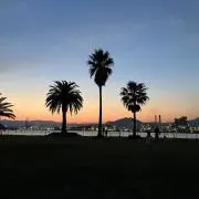 tawaraの画像