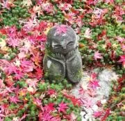 morimoriの画像