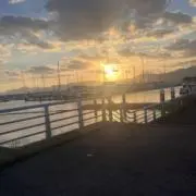 よ〖 プロフ必読 〗