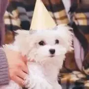 amの画像