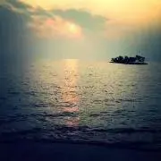 DACO