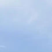 twocatsの画像