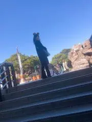 まいごろの画像
