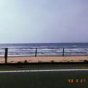 緑茶ハイ