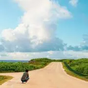 ショウの画像