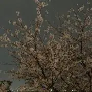 やまびこ