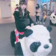 ぽんの画像
