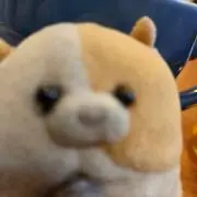 もぐもぐの画像