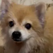 にこ