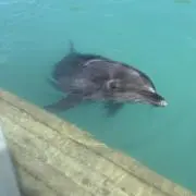 ♡K♡の画像