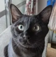 しろろ ※プロフ必