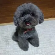 YHKの画像