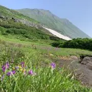 seroriの画像