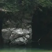 しょーの画像