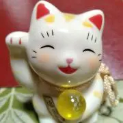 ゆきの画像