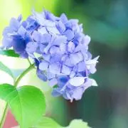 tom84の画像