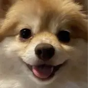 RANの画像