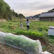 バナージの画像