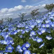 M Y 【プロフィール確認お願いします】の画像