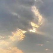 tmの画像