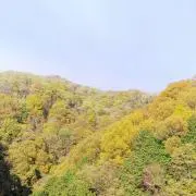 micoの画像
