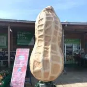 おんの画像