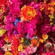 花花の画像