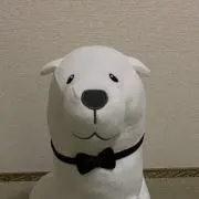 m.k プロフ要確認ください⭐️の画像