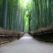 ゴラムの画像