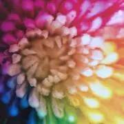 カノンの画像