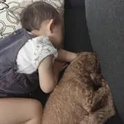 みや
