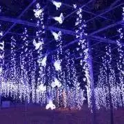 白雪姫の画像