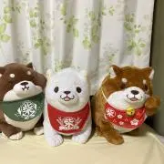 メイ