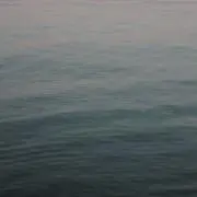 まるの画像