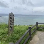 アルパカの生活