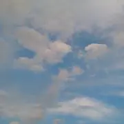 たのしひゆの画像