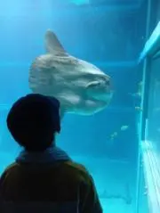 ☆Biku☆の画像