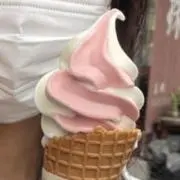ゆりかの画像