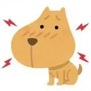 ハチ