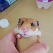 くもり