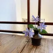 magocorokoalaの画像