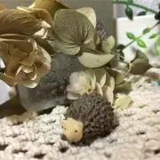gu-mariの画像
